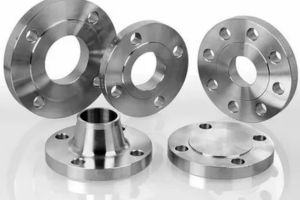 Stainless Steel Flanges